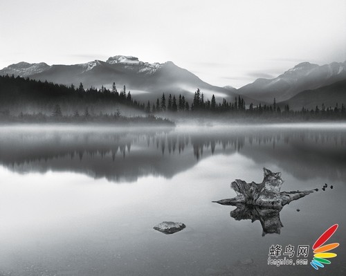 專(zhuān)業(yè)攝影師作品